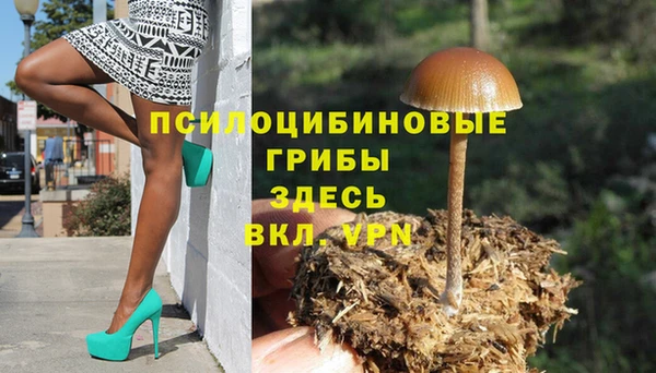 МДПВ Алексин