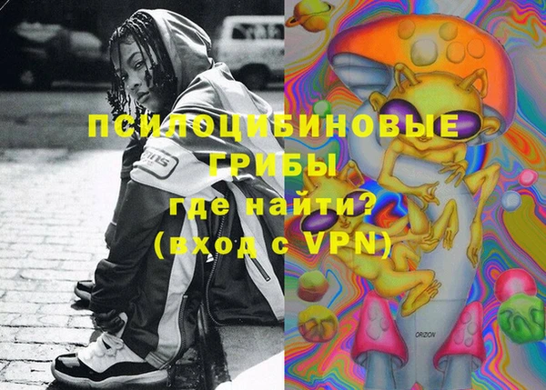 сатива Алексеевка