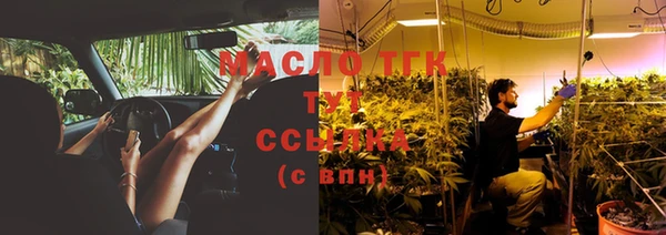 сатива Алексеевка
