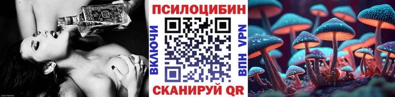 Псилоцибиновые грибы Psilocybe  цена   Мышкин 
